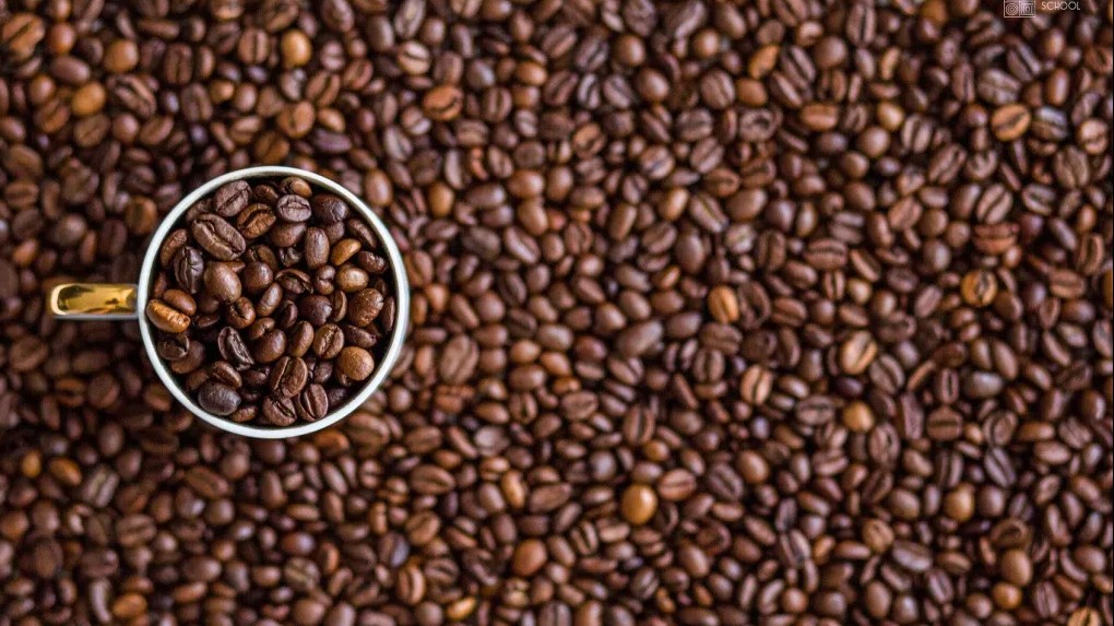 Cập nhật giá cà phê hôm nay 05/02/2022: Quay đầu giảm nhẹ