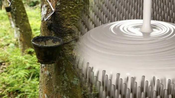 Cập nhật giá cao su hôm nay 07/02/2022: Vụt tăng mạnh tại Nhật Bản