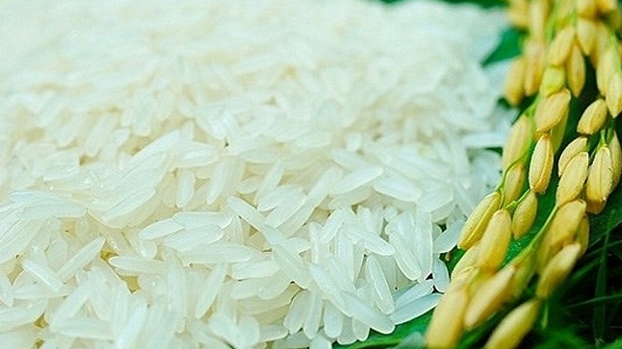 Cập nhật giá lúa gạo hôm nay 11/02/2022: Giá gạo nguyên liệu giảm nhẹ