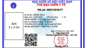 Đối tượng nào được cấp thẻ BHYT mẫu mới tại TPHCM?