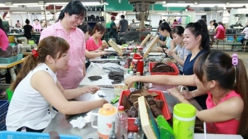 Bảo vệ người tố cáo là lao động theo hợp đồng