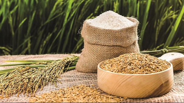 Cập nhật giá lúa gạo hôm nay 19/02/2022: Thị trường ổn định