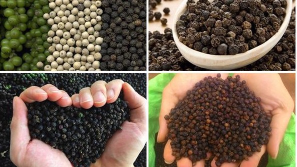 Cập nhật giá hồ tiêu hôm nay 22/02/2022: Đứng yên trên toàn quốc