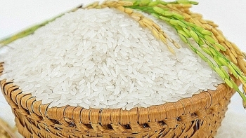 Cập nhật giá lúa gạo hôm nay 24/02/2022: Thị trường chững lại