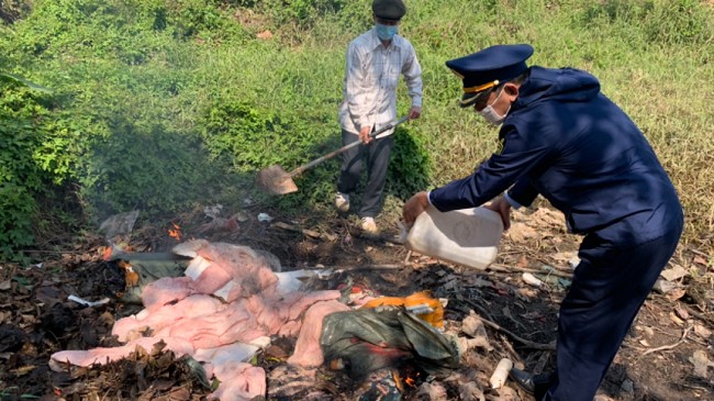 Quảng Ninh: Tiêu hủy 3 tạ nầm lợn hôi thối không nguồn gốc, xuất xứ