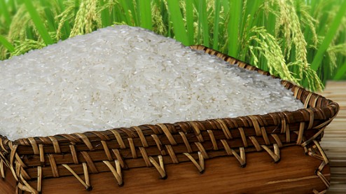 Cập nhật giá lúa gạo hôm nay 26/02/2022: Giá lúa tăng 200 đồng/kg