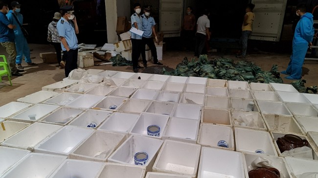 Khởi tố vụ buôn lậu hàng quá cảnh tại cửa khẩu quốc tế Lao Bảo