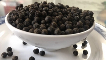 Cập nhật giá hồ tiêu hôm nay 2/3/2022: Lao dốc không phanh