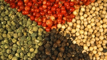 Cập nhật giá hồ tiêu hôm nay 3/3/2022: Giảm mạnh 3 ngày liên tiếp