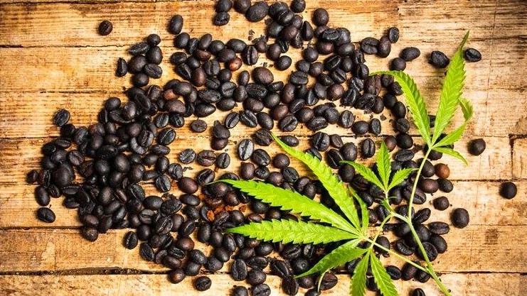 Cập nhật giá cà phê hôm nay 7/3/2022: Lặng sóng ngày đầu tuần