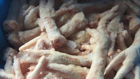 Cao Bằng: Khởi tố vụ buôn lậu hơn 28 tấn chân gà đông lạnh