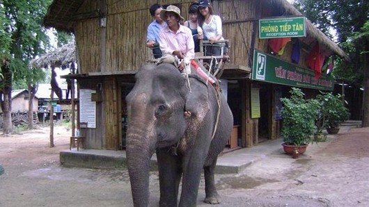 Đắk Lắk hướng đến "Du lịch thân thiện với voi"