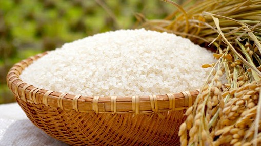 Cập nhật giá lúa gạo hôm nay 10/3/2022: Lặng sóng trên cả nước