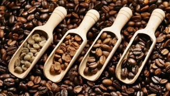 Cập nhật giá cà phê hôm nay 13/3/2022: Lặng sóng ngày cuối tuần