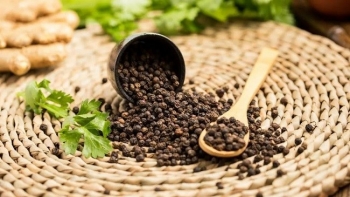 Cập nhật giá hồ tiêu hôm nay 15/3/2022: Tăng nhẹ tại các tỉnh Tây Nguyên