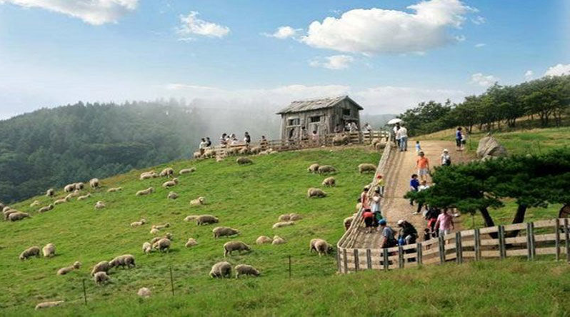 Quyền của người sử dụng đất kinh tế trang trại Quyền của người sử dụng đất kinh tế trang trại