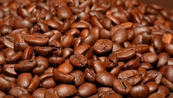 Cập nhật giá cà phê hôm nay 23/3/2022: Thị trường đi ngang