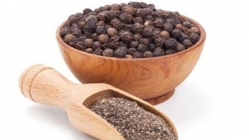 Cập nhật giá hồ tiêu hôm nay 23/3/2022: Giảm mạnh