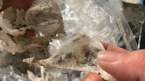 Khánh Hòa: Tạm giữ 180kg yến nguyên liệu không rõ nguồn gốc