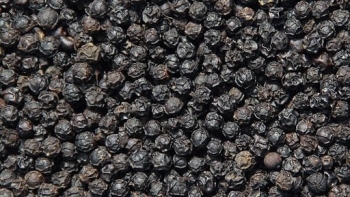 Cập nhật giá hồ tiêu hôm nay 27/3/2022: Lặng sóng trên toàn quốc