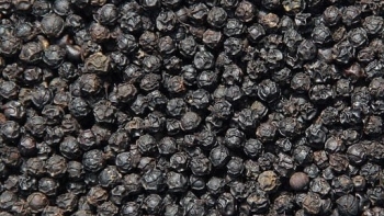 Cập nhật giá hồ tiêu hôm nay 2/4/2022: Giảm 500 đồng/kg tại Tây Nguyên