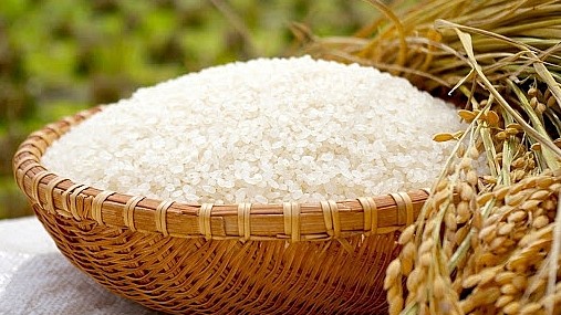 Thị trường gạo châu Á: Giá gạo xuất khẩu của Việt Nam giảm mạnh