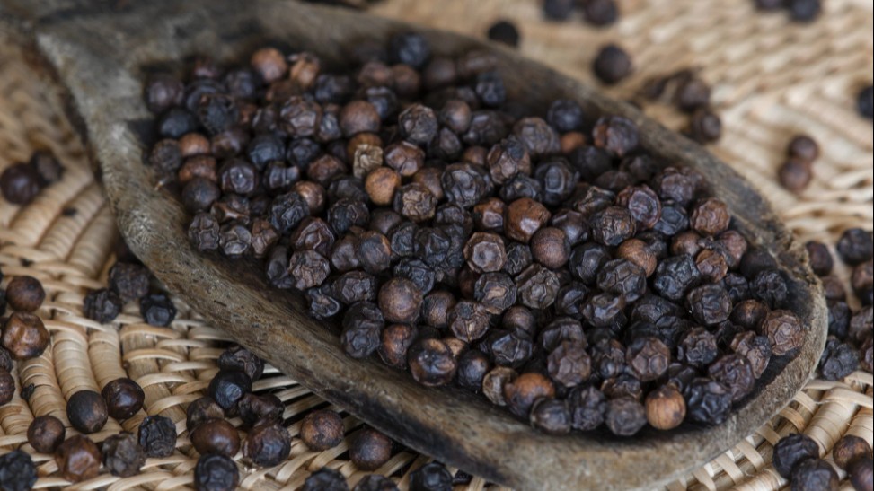 Cập nhật giá hồ tiêu hôm nay 8/4/2022: Giảm nhẹ tại vùng Đông Nam Bộ