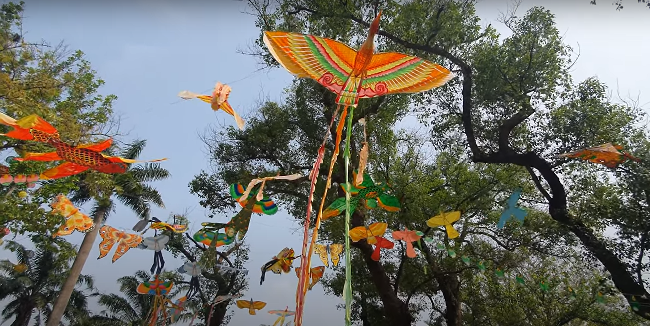 Không gian trưng bày diều Huế