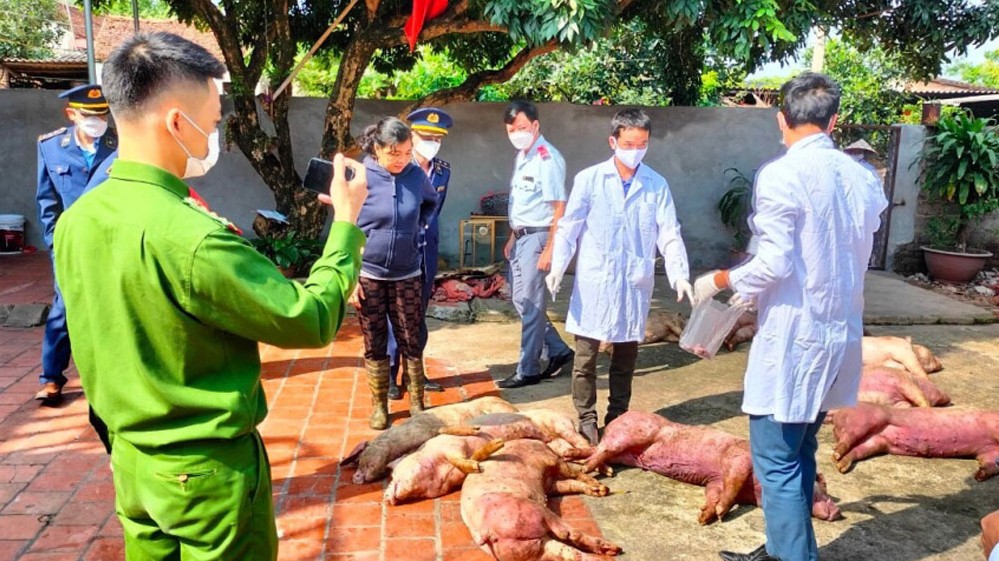 Bắc Giang: Phát hiện hộ gia đình mua bán, bảo quản động vật nhiễm bệnh