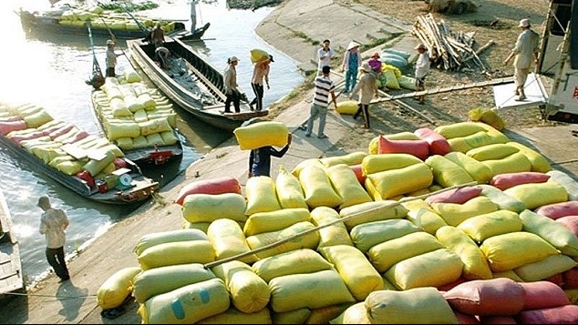 Cập nhật giá lúa gạo hôm nay 22/4/2022: Giá gạo nguyên liệu tăng 200 đồng/kg