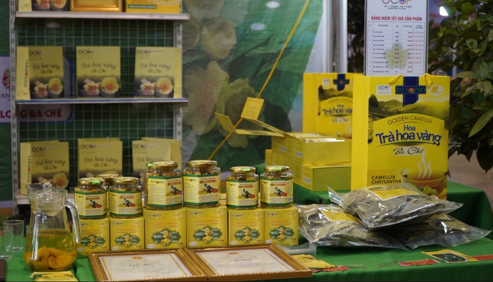 Trà Hoa Vàng Ba Chẽ là một trong những sản phẩm OCOP nổi tiếng của tỉnh Quảng Ninh