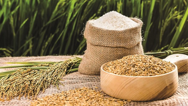 Cập nhật giá lúa gạo hôm nay 25/4/2022: Duy trì ổn định