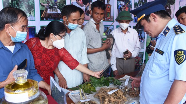 Kon Tum: Khai mạc Phiên chợ Sâm Ngọc Linh gắn với phát triển du lịch