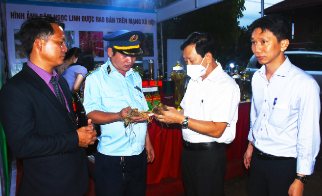 Nhộn nhịp phiên chợ sâm Ngọc Linh