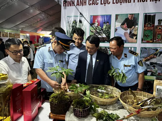 Nhộn nhịp phiên chợ sâm Ngọc Linh