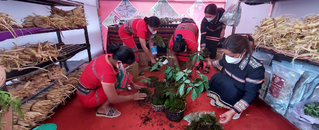 Nhộn nhịp phiên chợ sâm Ngọc Linh