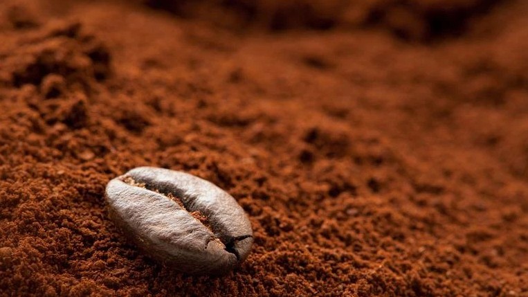 Cập nhật giá cà phê hôm nay 27/4/2022: Đồng loạt giảm nhẹ