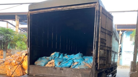 Hải Dương: Tiêu hủy hơn 1.000 kg vỏ lòng non lợn bốc mùi hôi thối