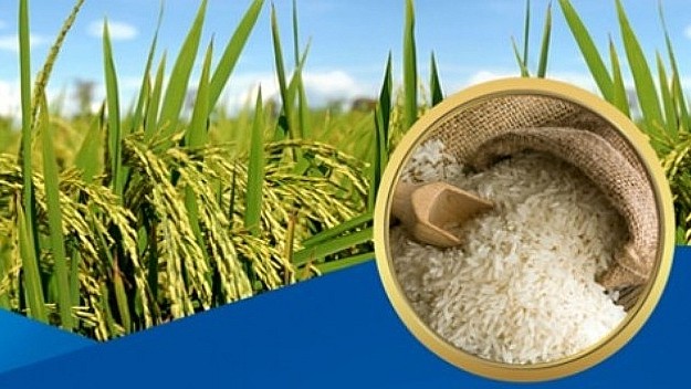 Cập nhật giá lúa gạo hôm nay 4/5/2022: không có biến động mới