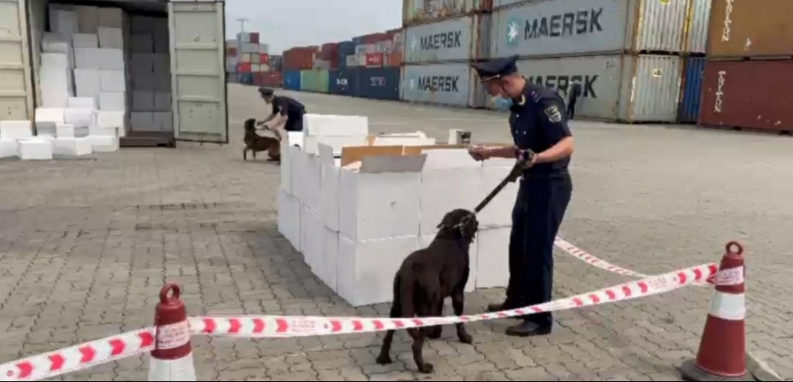 Hải Phòng: Phát hiện gần 600.000 bao thuốc lá có dấu hiệu buôn lậu