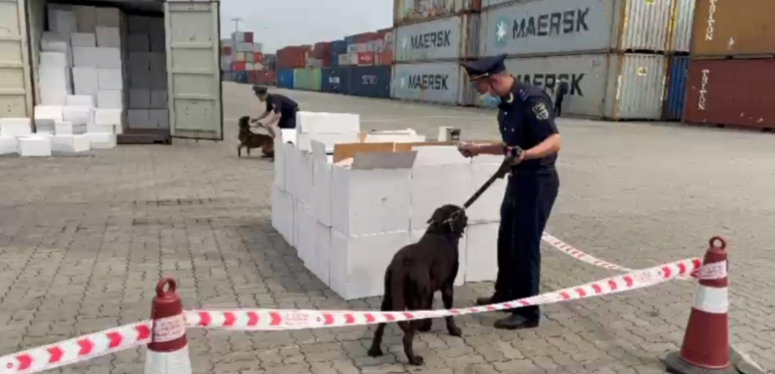 Công chức Đội Kiểm soát hải quan Hải Phòng sử dụng chó nghiệp vụ tham gia khám xét lô hàng.
