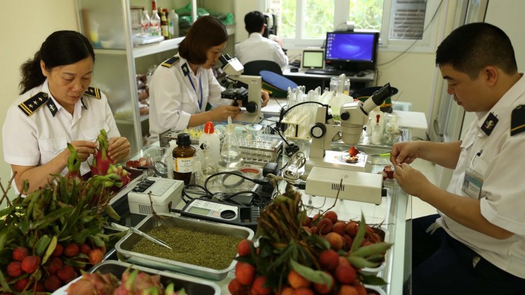 Những loại thực phẩm nhập khẩu thuộc diện phải kiểm dịch thực vật