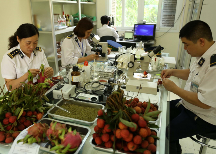 Những loại thực phẩm nhập khẩu thuộc diện phải kiểm dịch thực vật.