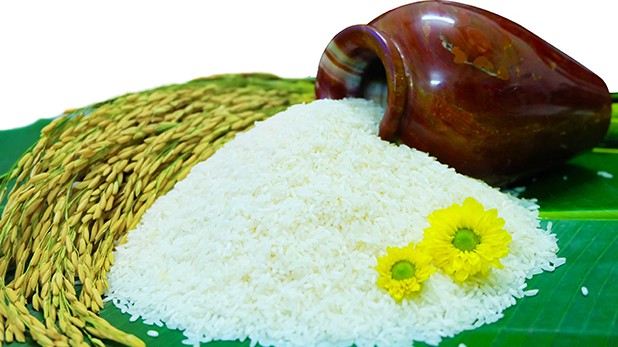 Xuất khẩu gạo sẽ tiếp đà tăng trưởng khi các quốc gia đẩy mạnh tích trữ lương thực