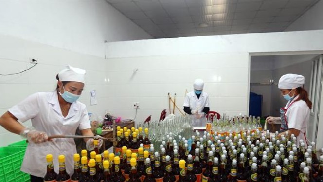 Ứng dụng vi khuẩn lactic: Giải pháp mới cho nước mắm truyền thống