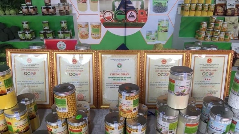 Lào Cai: Chuẩn bị trên 100 sản phẩm tham gia Festival trái cây và sản phẩm OCOP Việt Nam