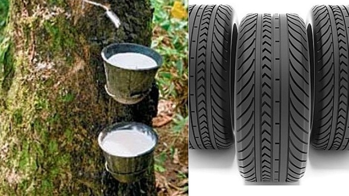 Cập nhật giá cao su hôm nay 16/5/2022: Đảo chiều tăng mạnh