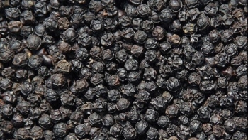 Cập nhật giá hồ tiêu hôm nay 17/5/2022: Tăng 500 đồng/kg tại một số tỉnh thành