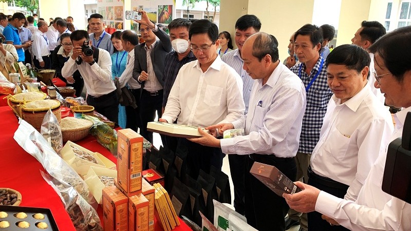 Thu nhập người dân ở Đắk Lắk tăng cao nhờ xây dựng nông thôn mới