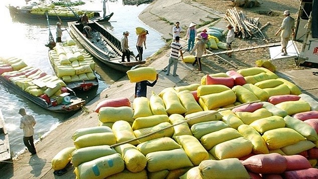 Cập nhật giá lúa gạo hôm nay 19/5/2022: Giá gạo xuất khẩu tăng 2 USD/tấn